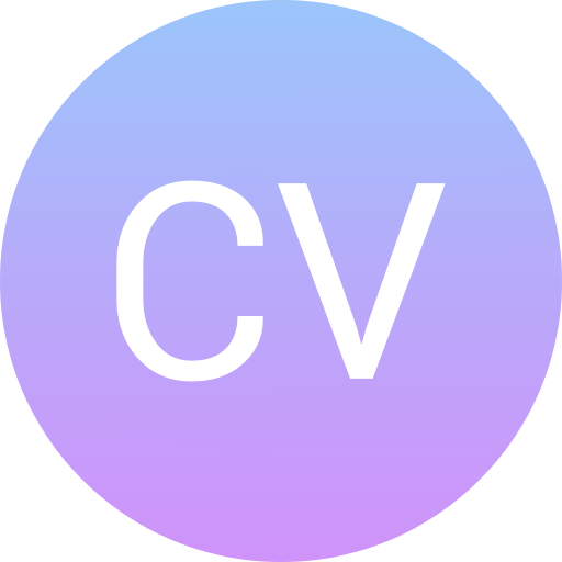 Aperçu CV Interactif